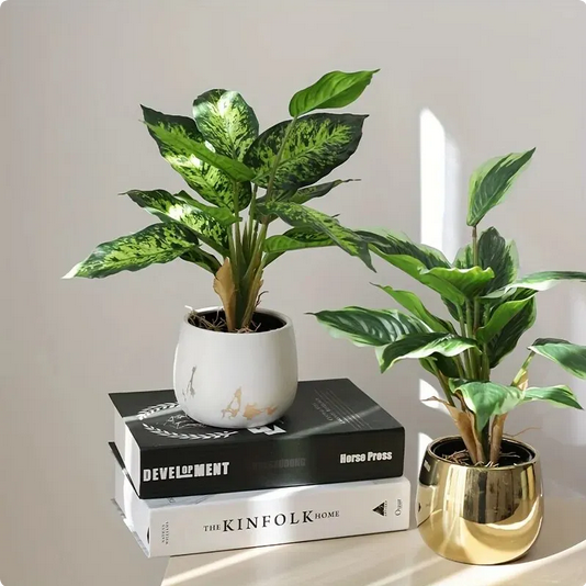 عشرة (10) أفكار لتزيين النباتات الداخلية - Safia decor